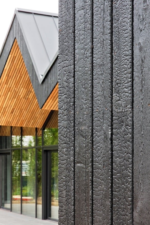 Pavillon_11 copie
